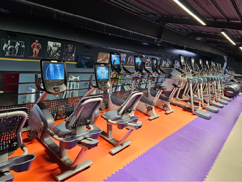 Zone cardio training avec tapis et vélos dans une salle de sport à Wittenheim